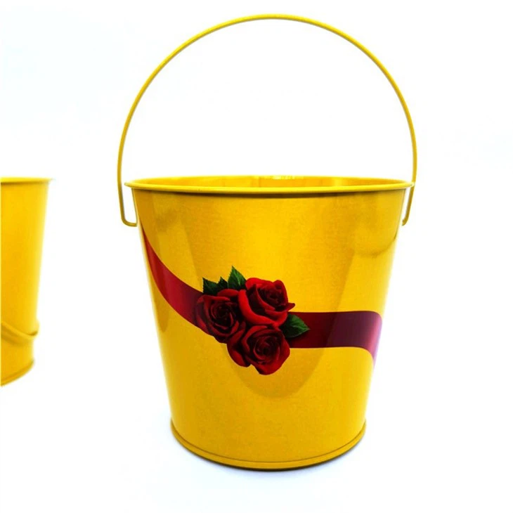 IMG_20200820_160359-800-800 IMG_20200820_160359-800-800